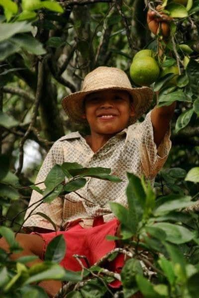 SENDERO DE LAS BRUJAS – COCLE - Foto 6